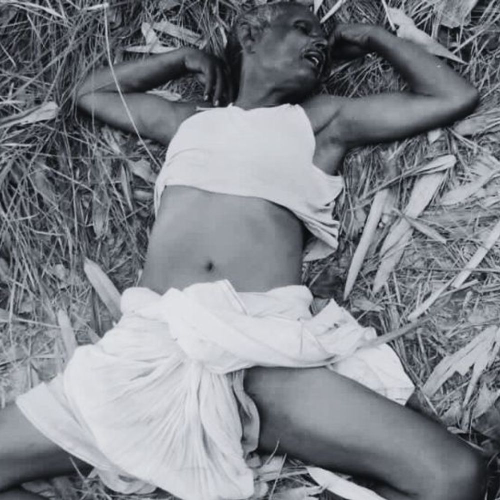 हरसिद्धि में अज्ञात बुजुर्ग का शव मिला:करचा फेकने गई महिला ने देखा, मृतक के पहचान में जुटी पुलिस