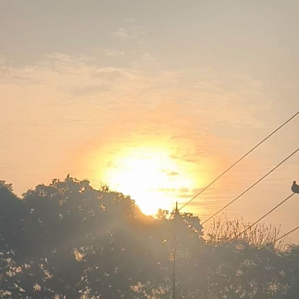 मथुरा में टेम्प्रेचर 10°C:गलन बढ़ी, सर्द हवाएं परेशान कर रहीं, 14 फरवरी तक ऐसा ही रहेगा मौसम