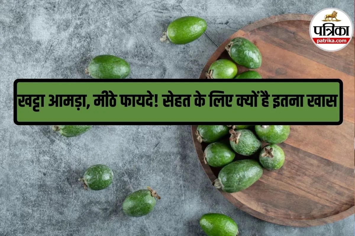 Ambada Benefits: छोटा सा आमड़ा, बड़े फायदे! विटामिन C का पावरहाउस है, स्वाद में खट्टा लेकिन सेहत में सुपरहिट