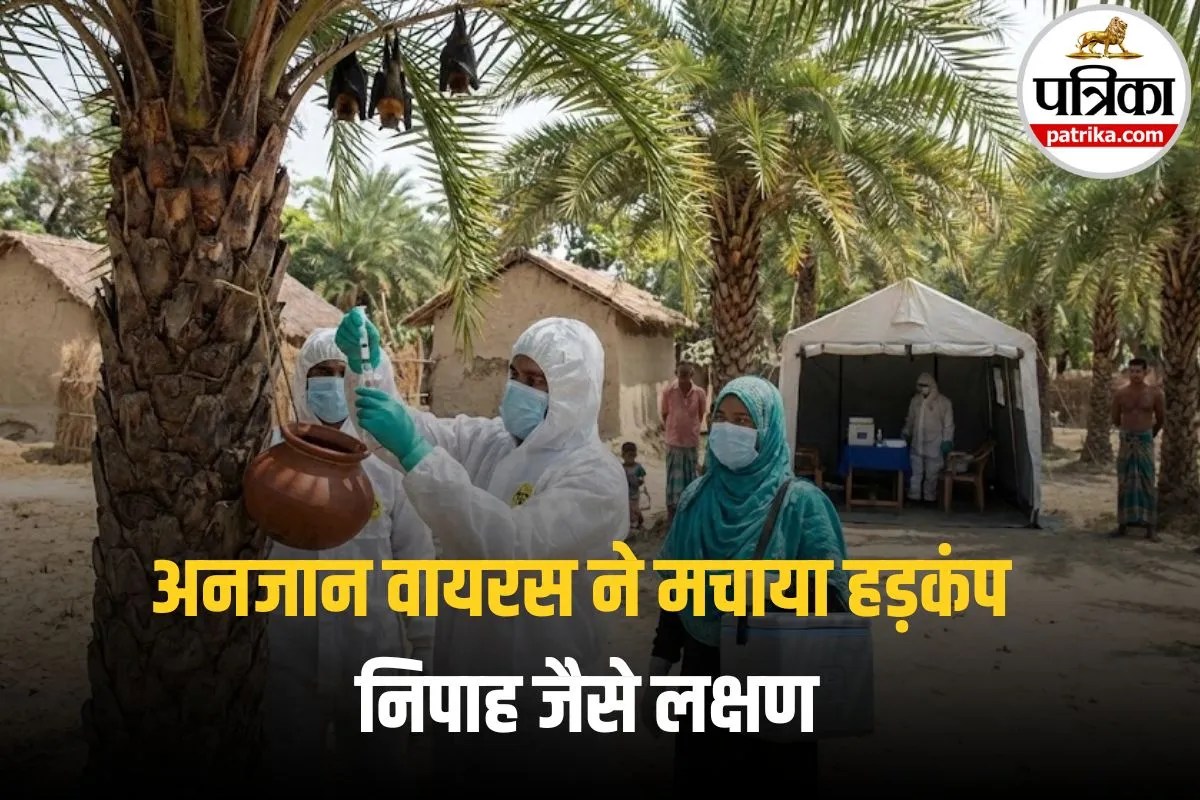 Bat Borne Virus: निपाह नहीं था असली खतरा! बांग्लादेश में मिला नया खतरनाक बैट-बोर्न वायरस