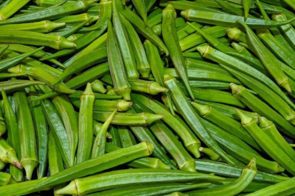 Muhana Mandi : भिंडी और नींबू हो रहे महंगे, टमाटर, आलू और फूल गोभी हो रहे सस्ते