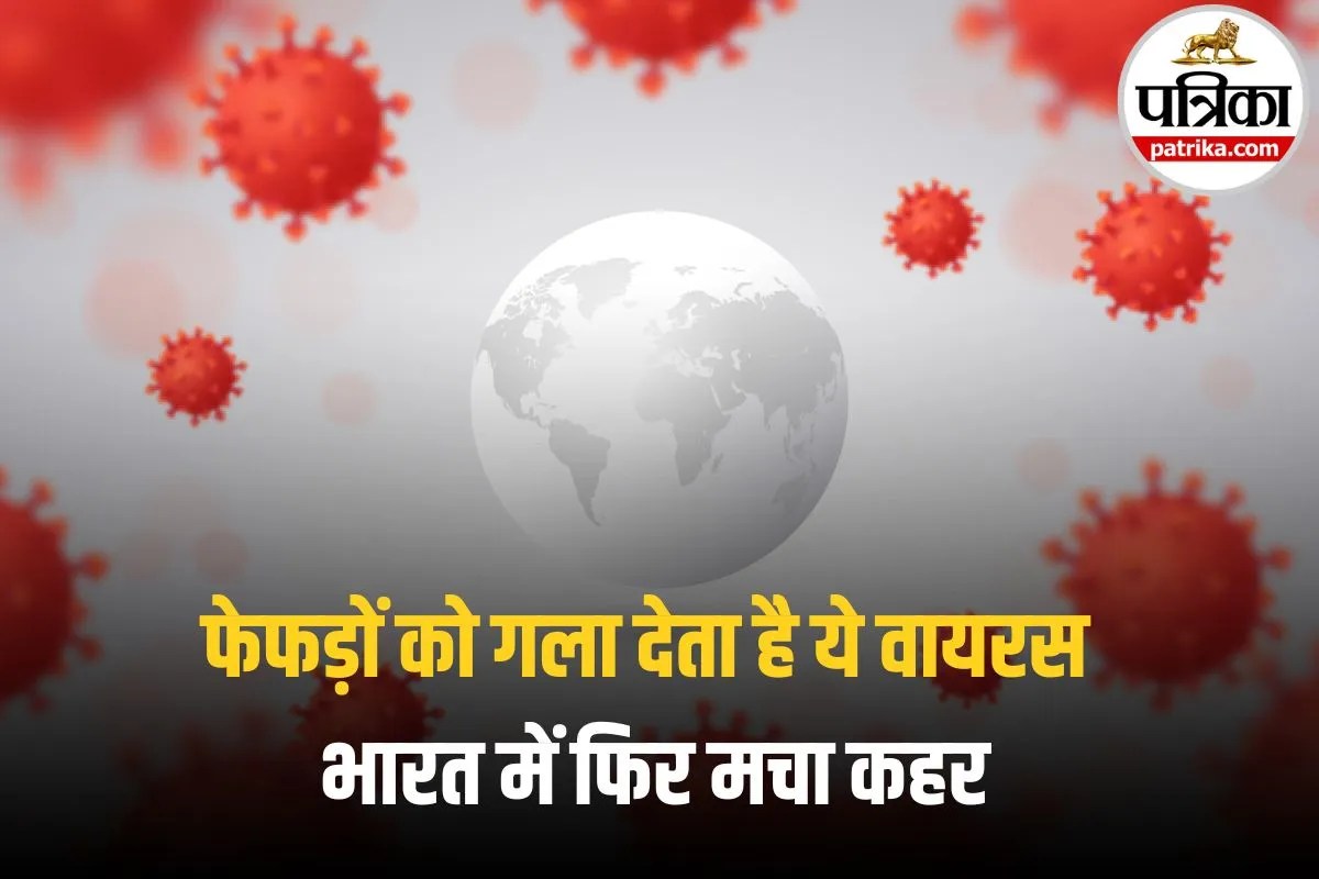Bird Flu Human Risk: बर्ड फ्लू H5N1 फिर चर्चा में! इंसानों के लिए कितना खतरनाक है यह वायरस?