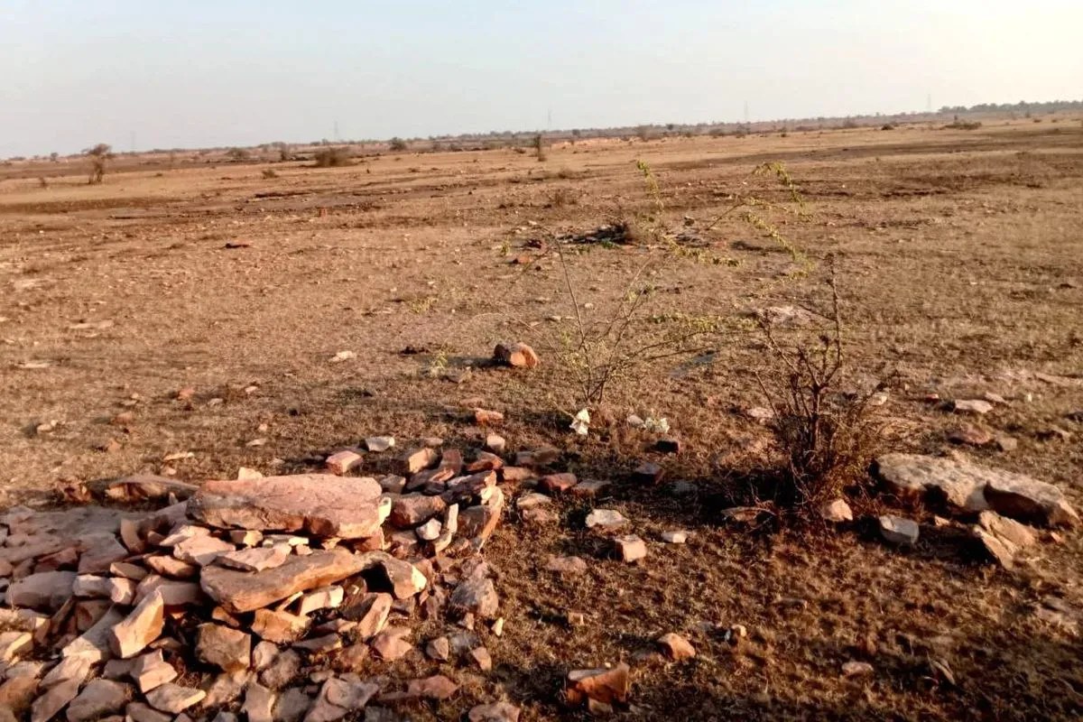 Bundi : स्टोन पार्क से डाबी को मिलेगी वैश्विक पहचान