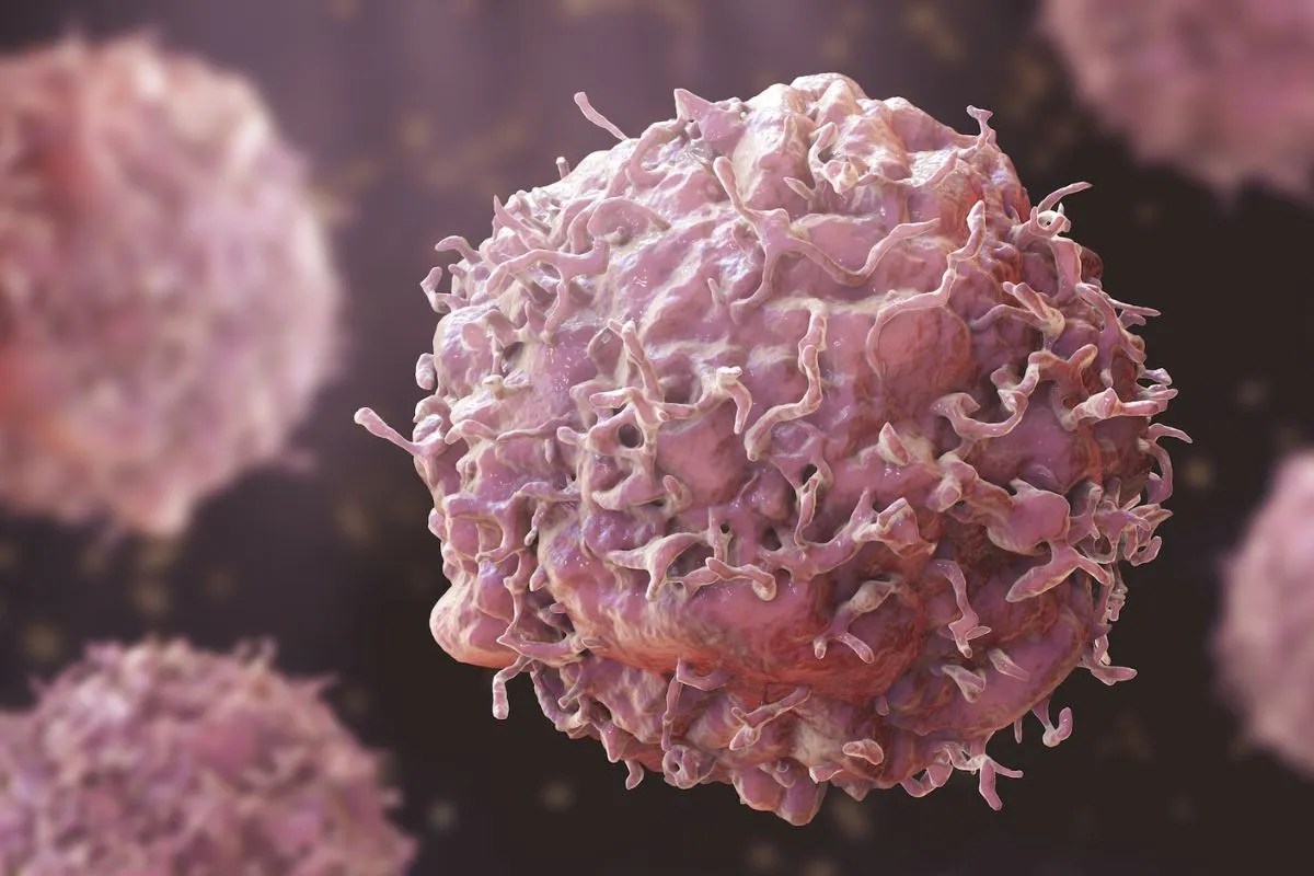 विश्व कैंसर दिवस से पहले मरीजों को मिली बड़ी सौगात, गांवों के लोगों को भी मिलेगा सीधा फायदा