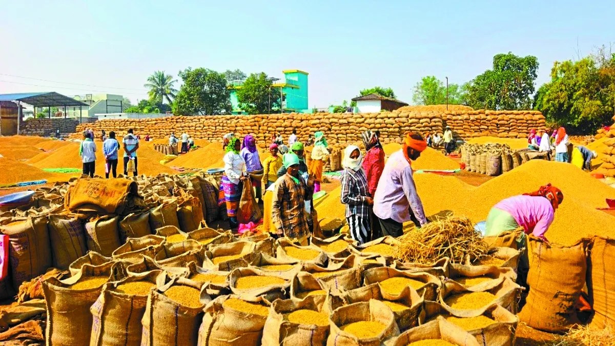 आज 957 किसान बेचेंगे 36645 क्विंटल धान, टोकन जारी
