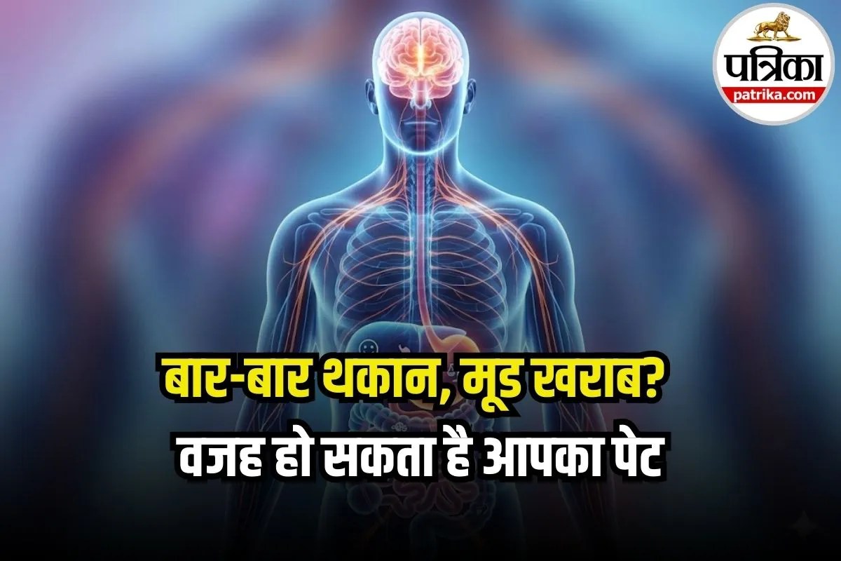 Gut Microbiome Benefits: पेट है शरीर का दूसरा दिमाग! जानें कैसे कंट्रोल करता है वजन, मूड और इम्युनिटी