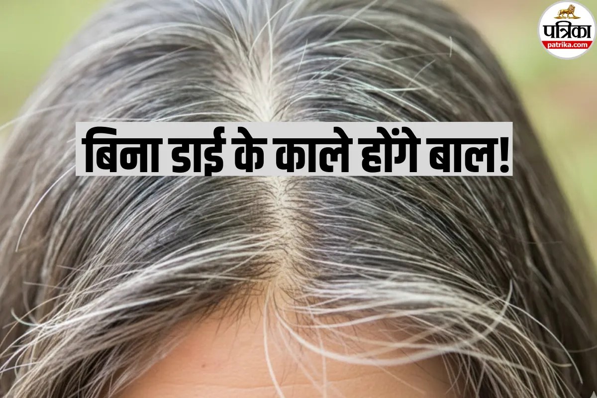 Hair Health: क्या अब बिना डाई के काले होंगे बाल? वैज्ञानिकों ने ढूंढ निकाला सबसे आसान तरीका!