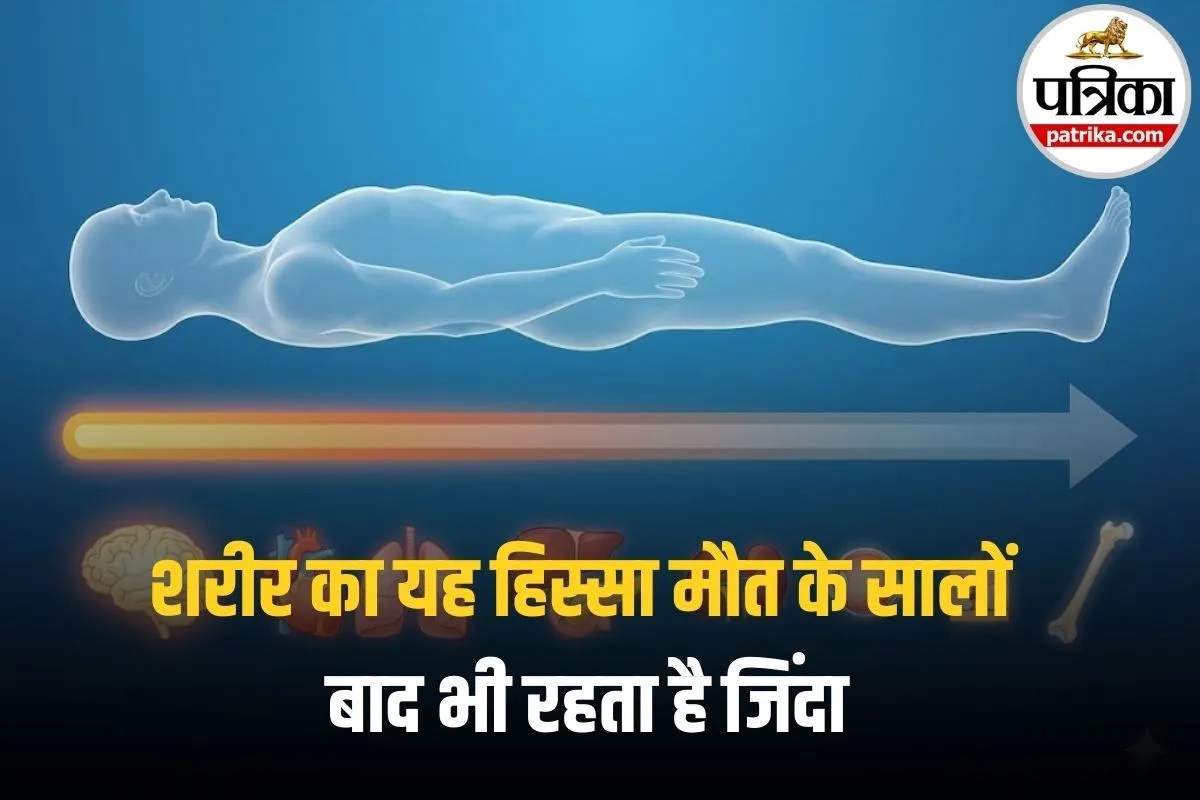Human Body after Death: मौत के बाद भी तुरंत बंद नहीं होता शरीर! जानिए कौन सा अंग कब तक रहता है जिंदा