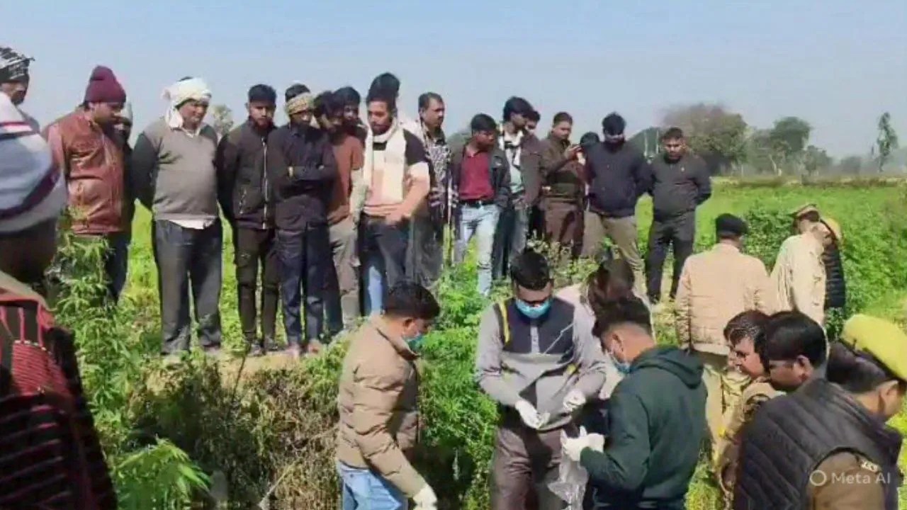खेत में कुत्ते नोच रहे थे जला हुआ शव, केवल चेहरा और एक हाथ बचा, एसपी बोले- शव फेंका गया