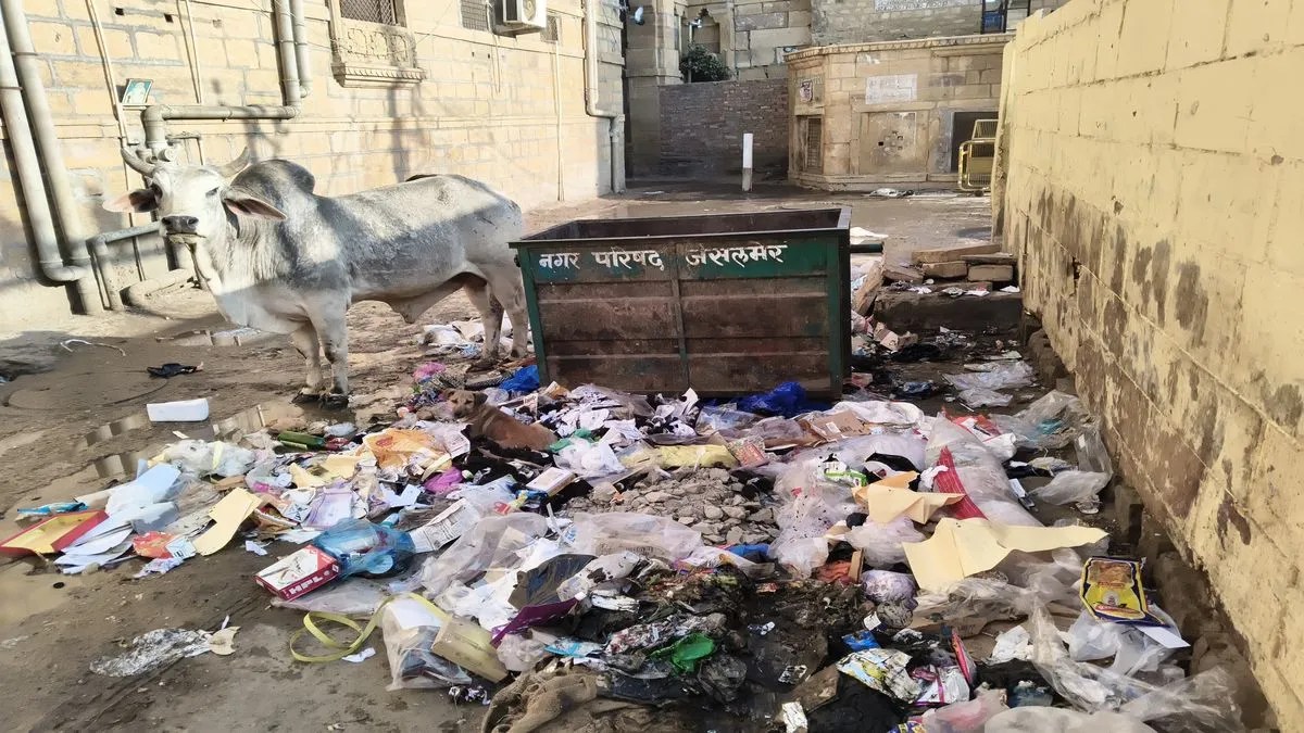 हर माह एक करोड़ खर्च, करीब 250 कर्मचारी.. फिर भी सफाई व्यवस्था बेदम