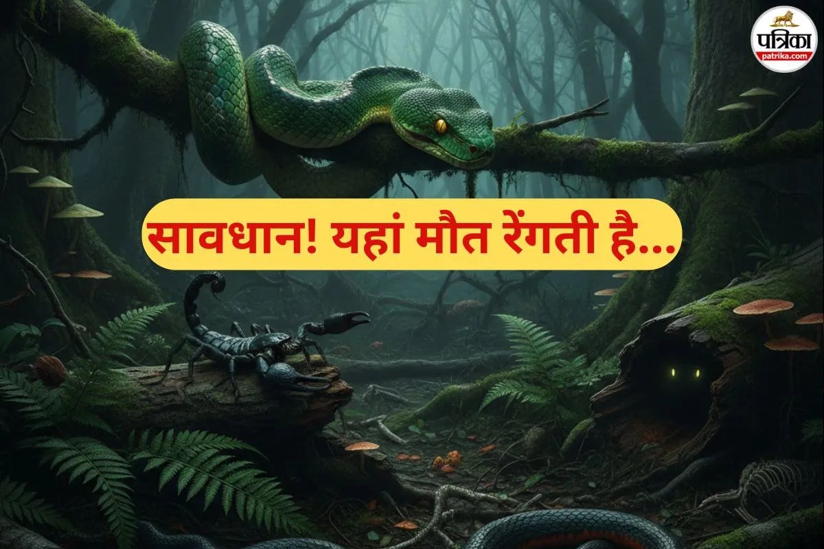 Snake Temple: अजगरों का प्रेसिडेंट हाउस, बेनिन का वो मंदिर जहां सांपों को मिलता है VIP ट्रीटमेंट, जानकर पकड़ लेंगे माथा