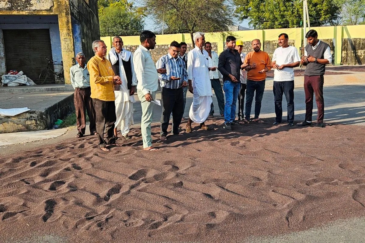 Mandi Bhav: नई सरसों की बंपर आवक से गुलजार हुई राजस्थान की मंडी, इस साल होगी रिकॉर्ड तोड़ पैदावार?