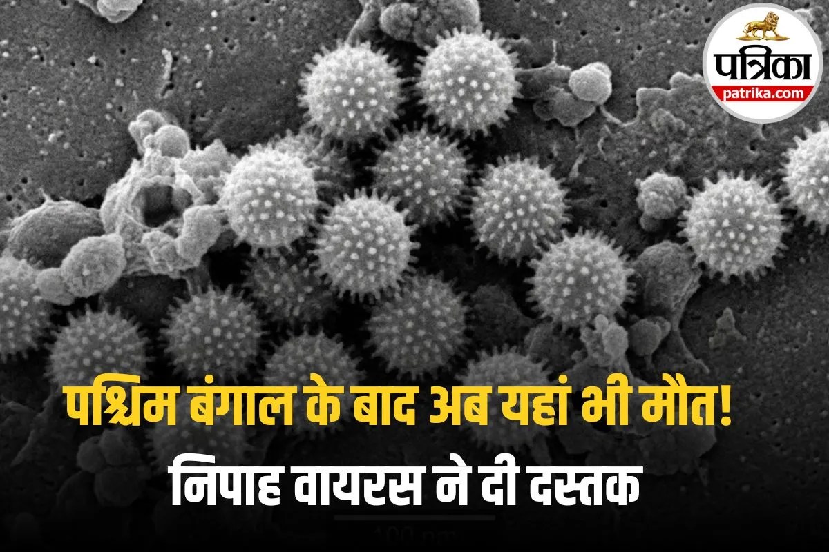Nipah Virus से महिला की मौत, WHO का अलर्ट! क्या भारत पर भी मंडरा रहा है खतरा?