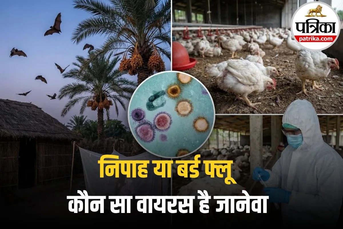 Nipah Virus vs Bird Flu: कोरोना के बाद अब 2026 में नए खतरे की दस्तक! निपाह या बर्ड फ्लू, कौन सा वायरस है ज्यादा खतरनाक