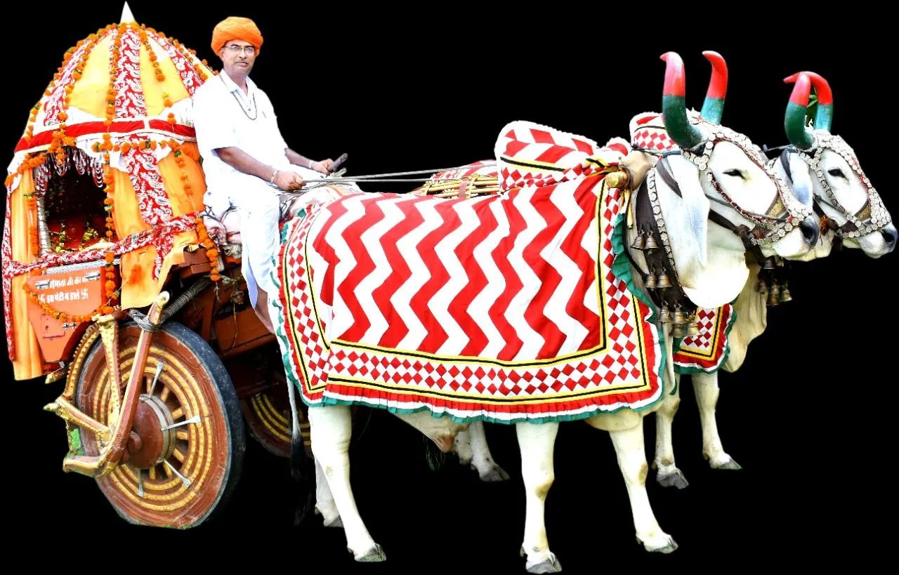 सीरवी समाज में आस्था, एकता और संस्कार का संदेश लेकर निकली आईमाता की धर्म भैल