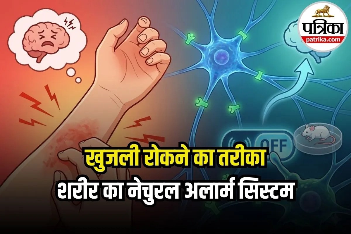Skin Itching Treatment: खुजली से परेशान लोगों के लिए खुशखबरी! शरीर में मिला खुद-ब-खुद रोकने वाला सिस्टम