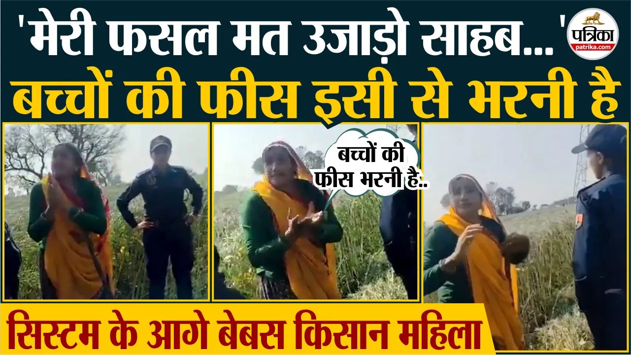 बच्चों की फीस के लिए खड़ी फसल तबाह, चाकसू में प्रशासन पर सवाल