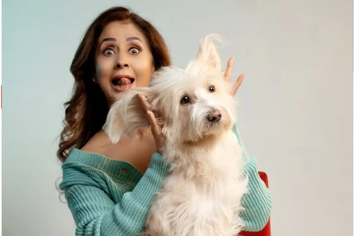 तलाक और बढ़ते विवाद ने इस एक्ट्रेस की छीनी शोहरत, रातों-रात पलट दी किस्मत, अब है गुमनाम