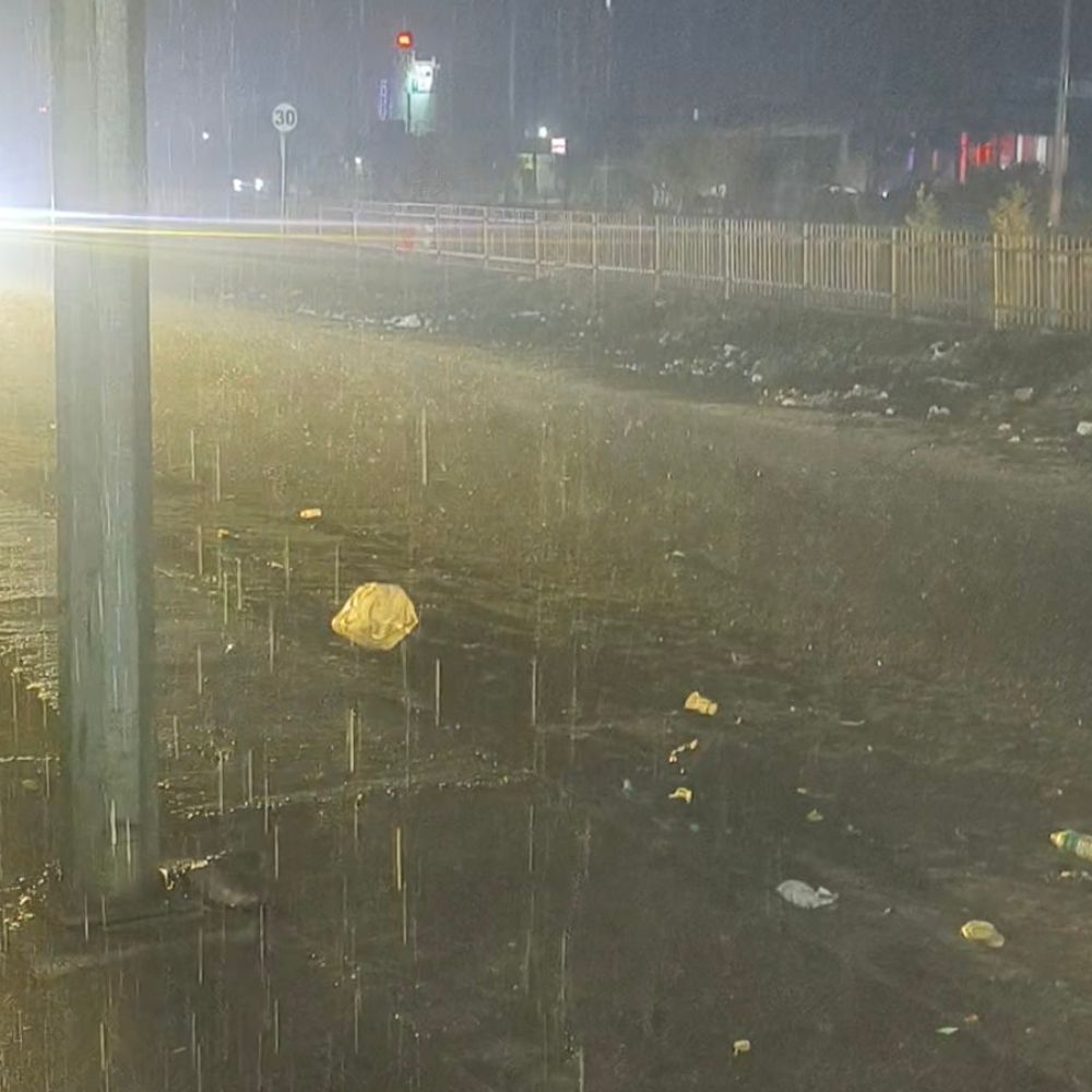 दतिया में 13 मिमी बारिश रिकॉर्ड:कृषि विशेषज्ञ बोले- सब्जी, चना, सरसों की फसल को हो सकता है नुकसान