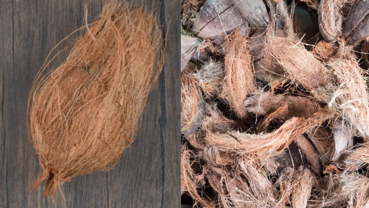 नारियल से इस तरह तैयार करें नेचुरल स्क्रबर, शीशे की तरह चमकेंगे बर्तन