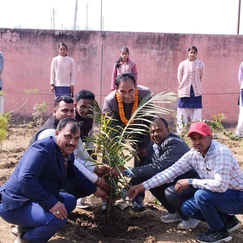 पेड़-पौधे केवल धरती का शृंगार नहीं, आवश्यकता भी