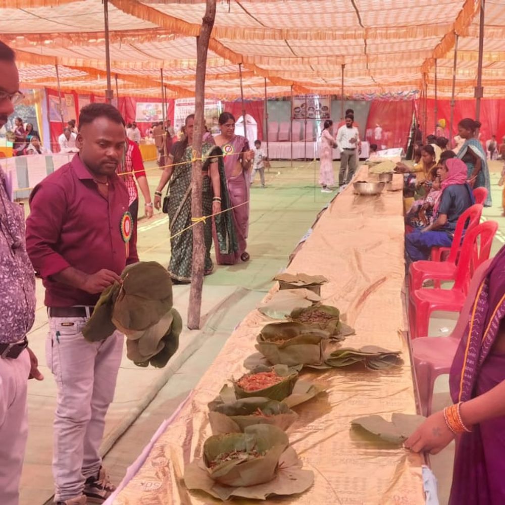 जेवनार मेला: फास्ट फूड के दुष्प्रभाव की जानकारी दी