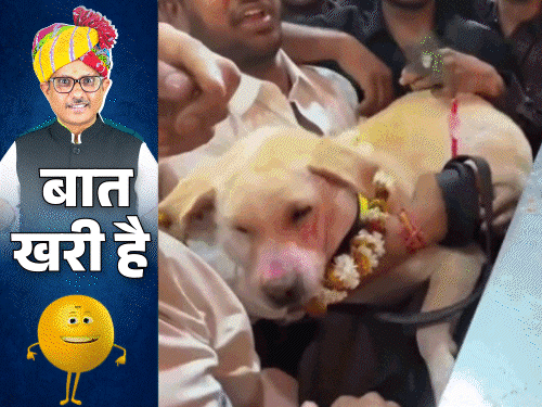 डॉग भगत ने किए श्याम-बाबा के ‘VIP दर्शन’:डिप्टी CM ने प्रेस-कॉन्फ्रेंस में मांगा ‘तकिया’; पूर्व मंत्रीजी का जोरदार डांस