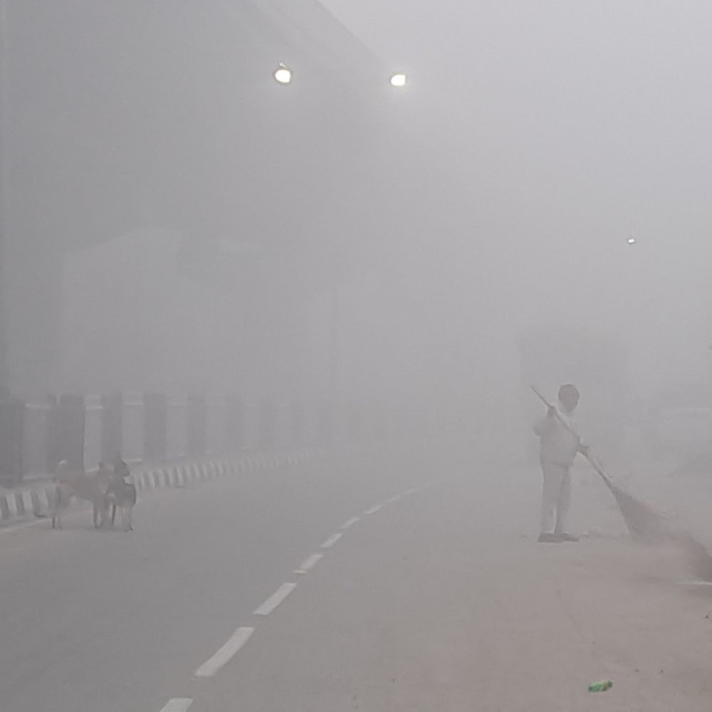 गोपालगंज में घना कोहरा, विजिबिलिटी हुई कम:सुबह की शुरुआत 14 डिग्री न्यूनतम तापमान के साथ, जनजीवन प्रभावित