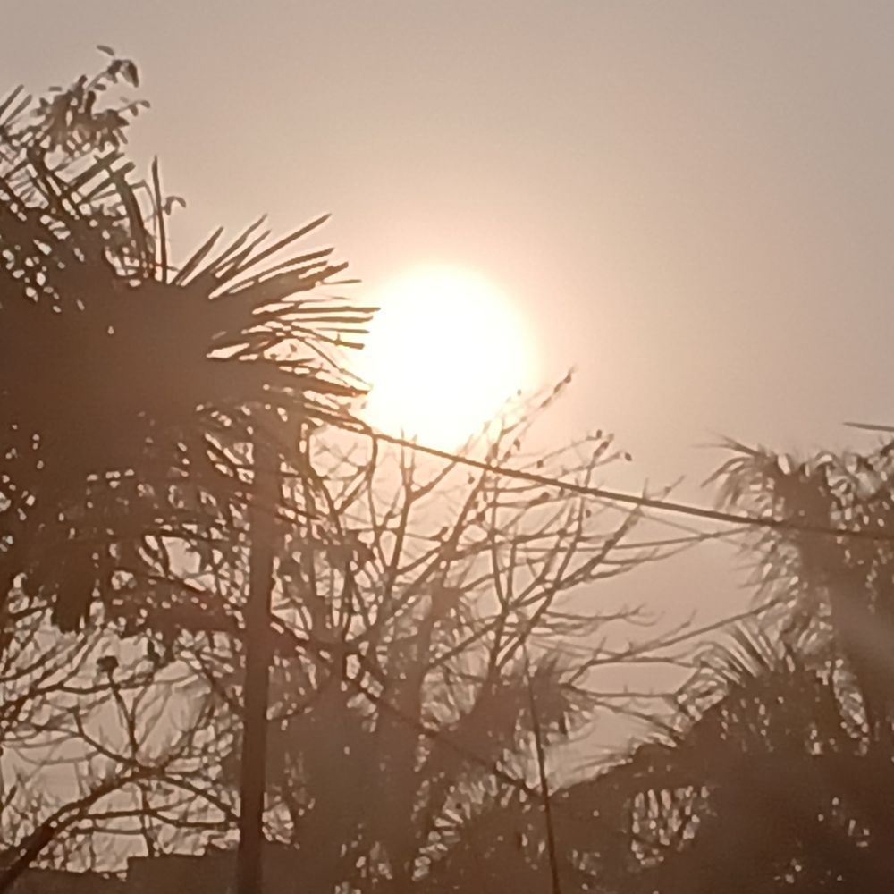 गोपालगंज में बढ़ा तापमान, गर्मी का असर शुरू:साफ आसमान और पछुआ हवाओं से 30 डिग्री पहुंचा पारा