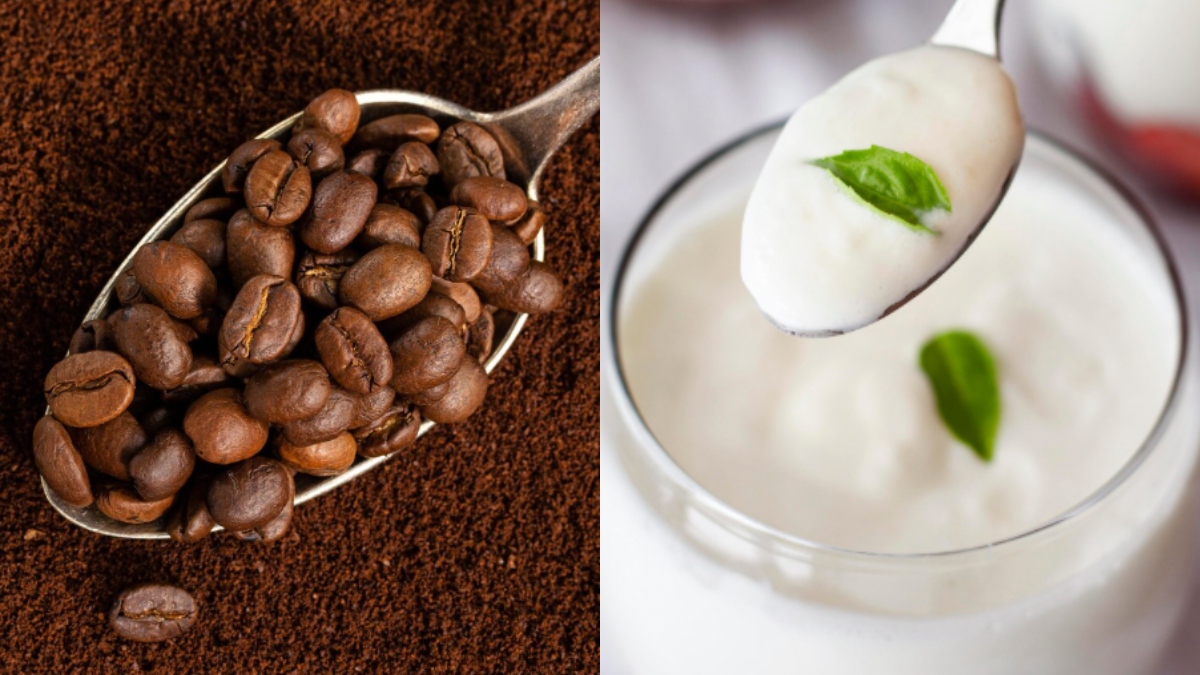 कॉफी और दही को मिलाकर चेहरे पर लगाएं, चमक उठेगी त्वचा, मिलेंगे जबरदस्त लाभ