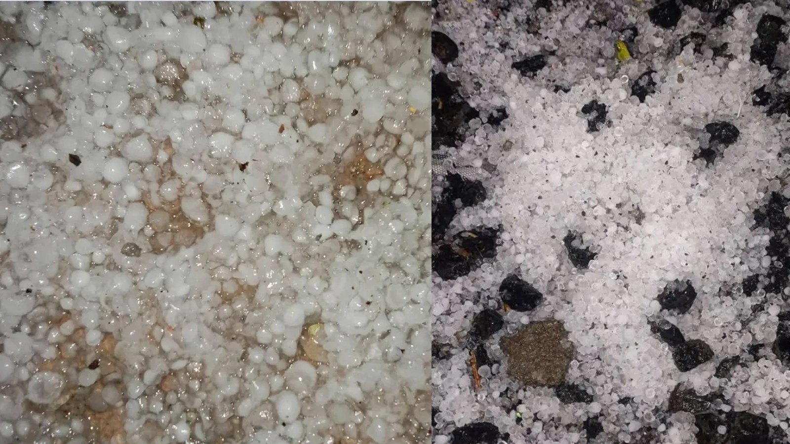 एमपी में आसमान से बरसी आफत! ओलावृष्टि ने मचाई तबाही, किसानों की मेहनत चकनाचूर