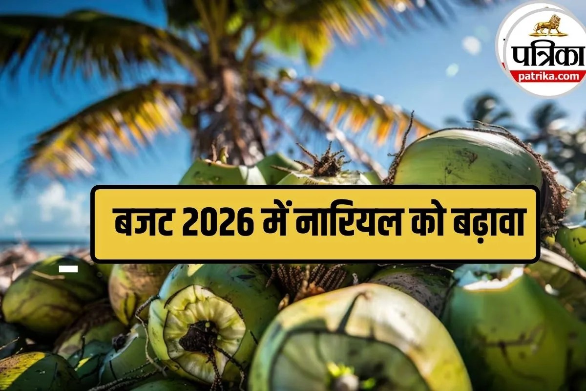 India Coconut Production: बजट पेशी में वित्त मंत्री ने नारियल प्रमोशन पर क्यों दिया खास जोर? जानिए इस सुपरफ्रूट के पोषण फायदे