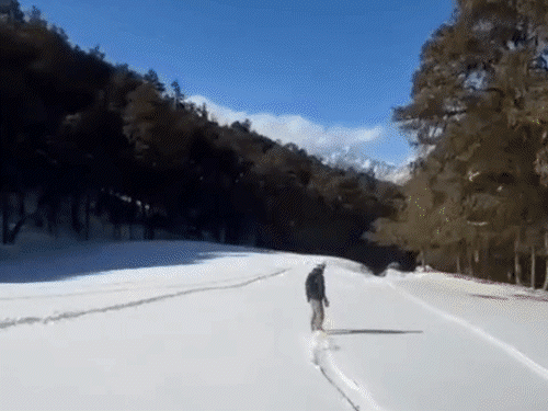 उत्तर प्रदेश, उत्तराखंड, बिहार में कोहरा, विजिबिलिटी 50-100 मीटर:हिमालयी राज्यों में आज से बारिश-बर्फबारी के आसार; हरियाणा-राजस्थान में टेंपरेचर 25°C के ऊपर