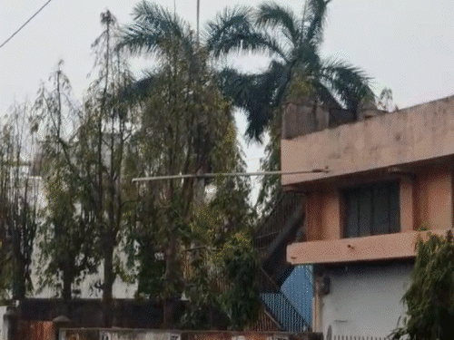 छत्तीसगढ़ में बारिश-ओले का अलर्ट, 2 डिग्री तक गिरेगा तापमान:राजस्थान में पारा 35 डिग्री पहुंचा, होली तक और बढ़ेगी गर्मी; हिमाचल में कल से बर्फबारी