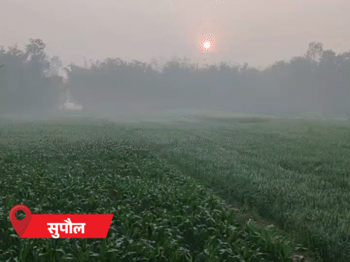 फरवरी के अंत तक सुबह-शाम महसूस होगी ठंड:बिहार में होली के बाद बढ़ेगी गर्मी, कई जिलों में छाया कोहरा; धूप के बाद भी ठिठुरन