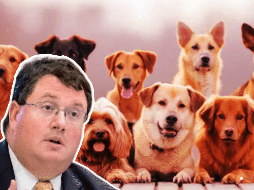 अमेरिकी सांसद बोले- कुत्तों-मुसलमानों में से एक को चुनना आसान:फिलिस्तीनी एक्टिविस्ट के ‘डॉग बैन’ पोस्ट पर जवाब दिया; एक्सपर्ट बोले- यह नस्लवादी, सांसद इस्तीफा दे