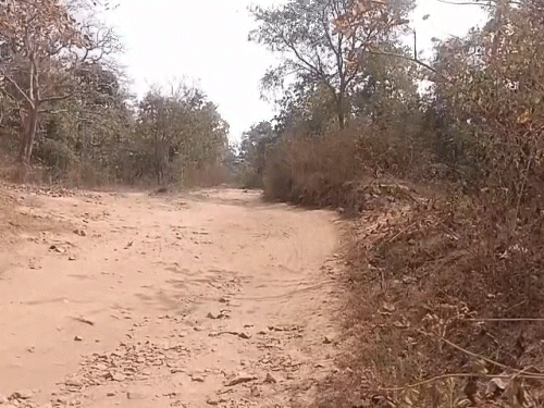 बीजापुर में 2 IED बरामद, डिफ्यूज किया…VIDEO:सुरक्षा बलों ने नक्सलियों की साजिश नाकाम की, सर्चिंग और डिमाइनिंग अभियान के दौरान मिले विस्फोटक