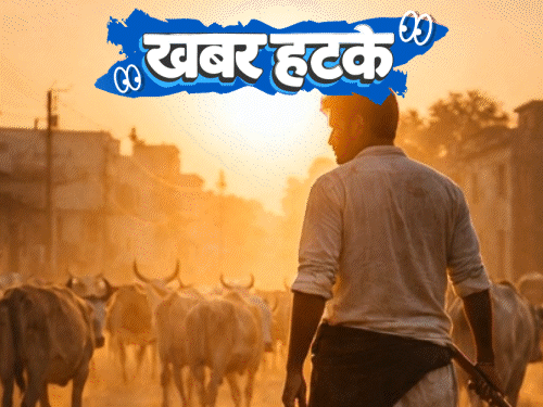 खबर हटके- गाय चराने के लिए सरकार दे रही नौकरी:ब्रिटेन में गायब होने लगीं चॉकलेट; बिना बच्चेदानी वाली महिला ने बेटे को जन्म दिया