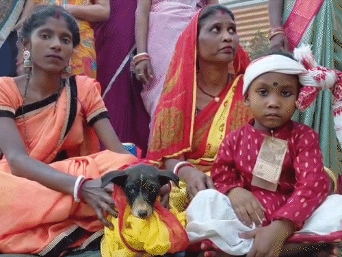 अंधविश्वास या आस्था, आदिवासी समाज में अनोखी रस्म:ऊपरी दांत पहले निकलने पर सशंकित थे परिजन, ग्रहदोष मिटाने के लिए मादा कुत्ते से करवा दी शादी