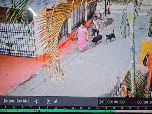 जमशेदपुर में दिनदहाड़े महिला से चेन छिनतई:गले में आई गंभीर खरोंच; CCTV में कैद हुई घटना, बाइक सवार दो बदमाशों ने की वारदात