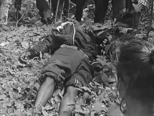 नालंदा में युवक का शव बगीचे में मिला:परिजनों ने करंट लगाकर हत्या का लगाया आरोप; जांच के लिए एफएसएल की टीम पहुंची