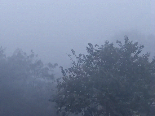 समस्तीपुर में सुबह के समय कोहरा छाया रहा:विजिबिलिटी 100 मीटर के करीब रही, इंटर परीक्षार्थी को सेंटर पर पहुंचने में हुई परेशानी