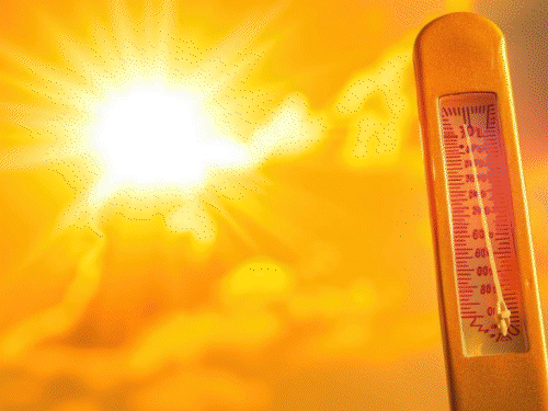 ठंडी गई, इस साल 30 दिन ज्यादा पड़ेगी गर्मी:होली बाद मई वाली तपिश होगी, शहर में ज्यादा; गांव में हीटवेव का खतरा कम, जानिए मौसम का हाल