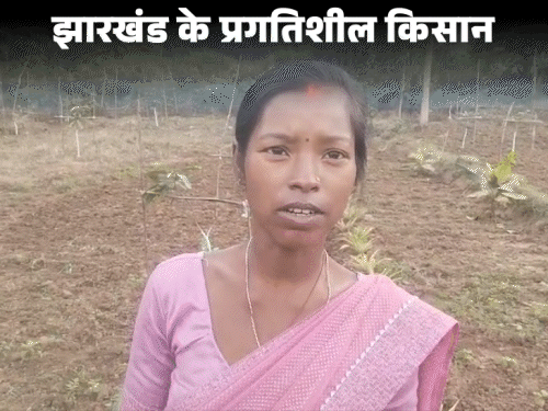 मिश्रित खेती व जैविक मॉडल से बढ़ी आय‎:हजारीबाग की किसान संगीता देवी ने लिखी सफलता की कहानी, हरहद गांव के किसानों की बदली सोच