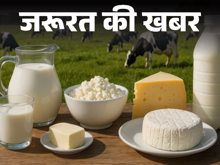 जरूरत की खबर- डेयरी प्रोडक्ट सेहत के लिए कितना फायदेमंद:जानें इनकी न्यूट्रिशनल वैल्यू, फायदे-नुकसान, किन्हें नहीं खाना चाहिए
