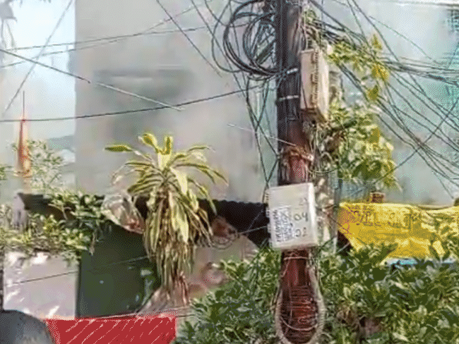 भोपाल के गीतांजलि कॉम्पलेक्स में आग…डॉग का दम घुटा:आग बुझाने दौड़े लोग; तब तक गृहस्थी का पूरा सामान जल गया