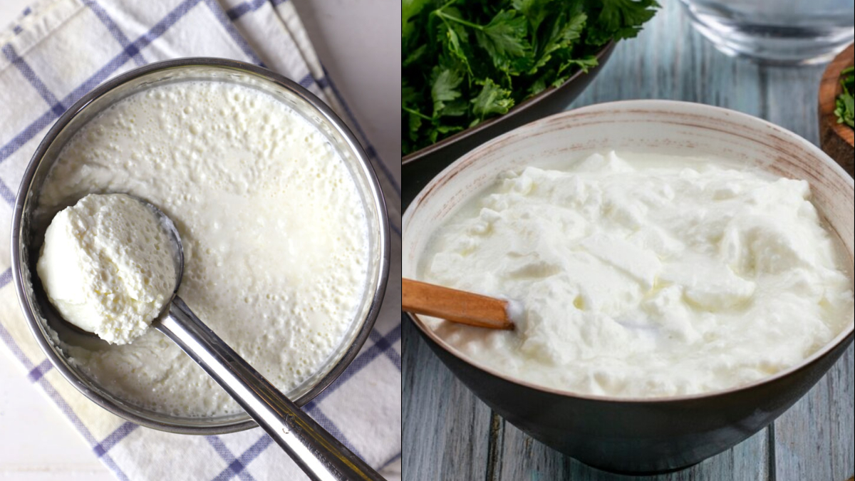 दही की तासीर कैसी होती है? जानिए किस वक्त दही खाना सेहत के लिए ज्यादा फायदेमंद होता है