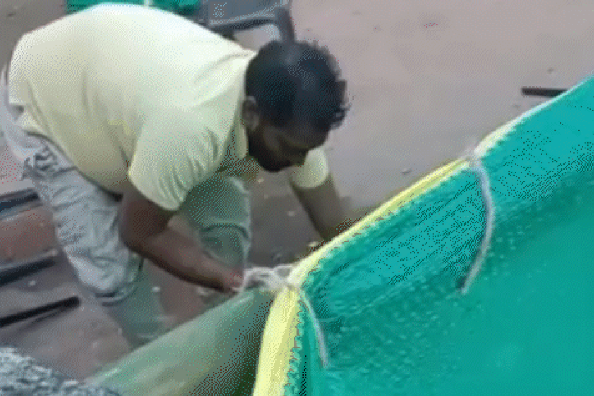 MP में भाजपा सरपंच की गुंडागर्दी, युवक को लात-घूसों से पीटा, कुत्ते की गुमशुदगी को लेकर थाने पहुंचे नेताजी