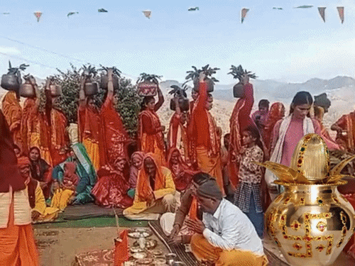 उत्तराखंड में पीपल बना दूल्हा, वट बनी दुल्हन:मंत्रोच्चार के साथ वैदिक रीति-रिवाजों से हुई अनोखी शादी; ढोल-दमाऊं की थाप पर नाचे बाराती