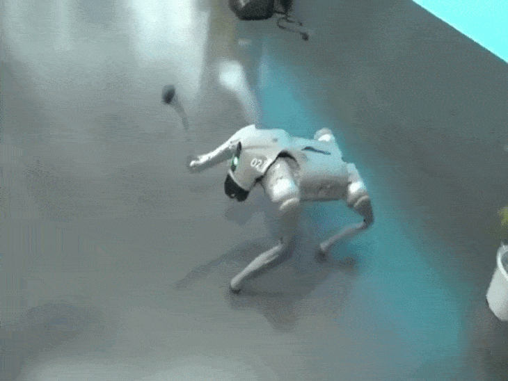 गलगोटिया यूनिवर्सिटी ने चीनी रोबोटिक डॉग को अपना बताया:AI समिट में ‘ओरियन’ नाम से पेश किया; बाद में कहा- हमने नहीं बनाया